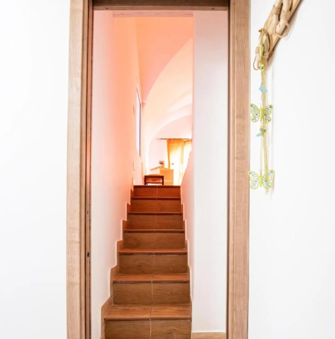 Vaccarini Home Катания